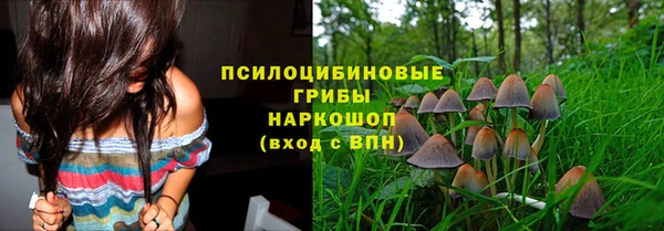 прущие крисы Арсеньев