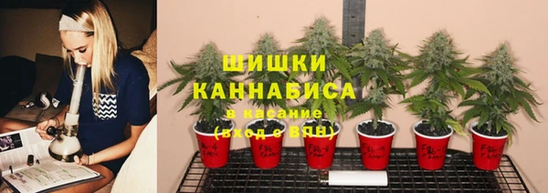 прущие крисы Арсеньев